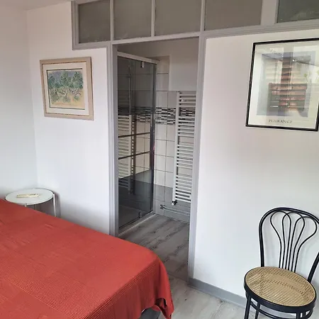 Les Plantes Avec Terrasse Apartament Saint-Émilion